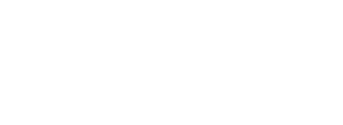 Papillion Town Center Logo